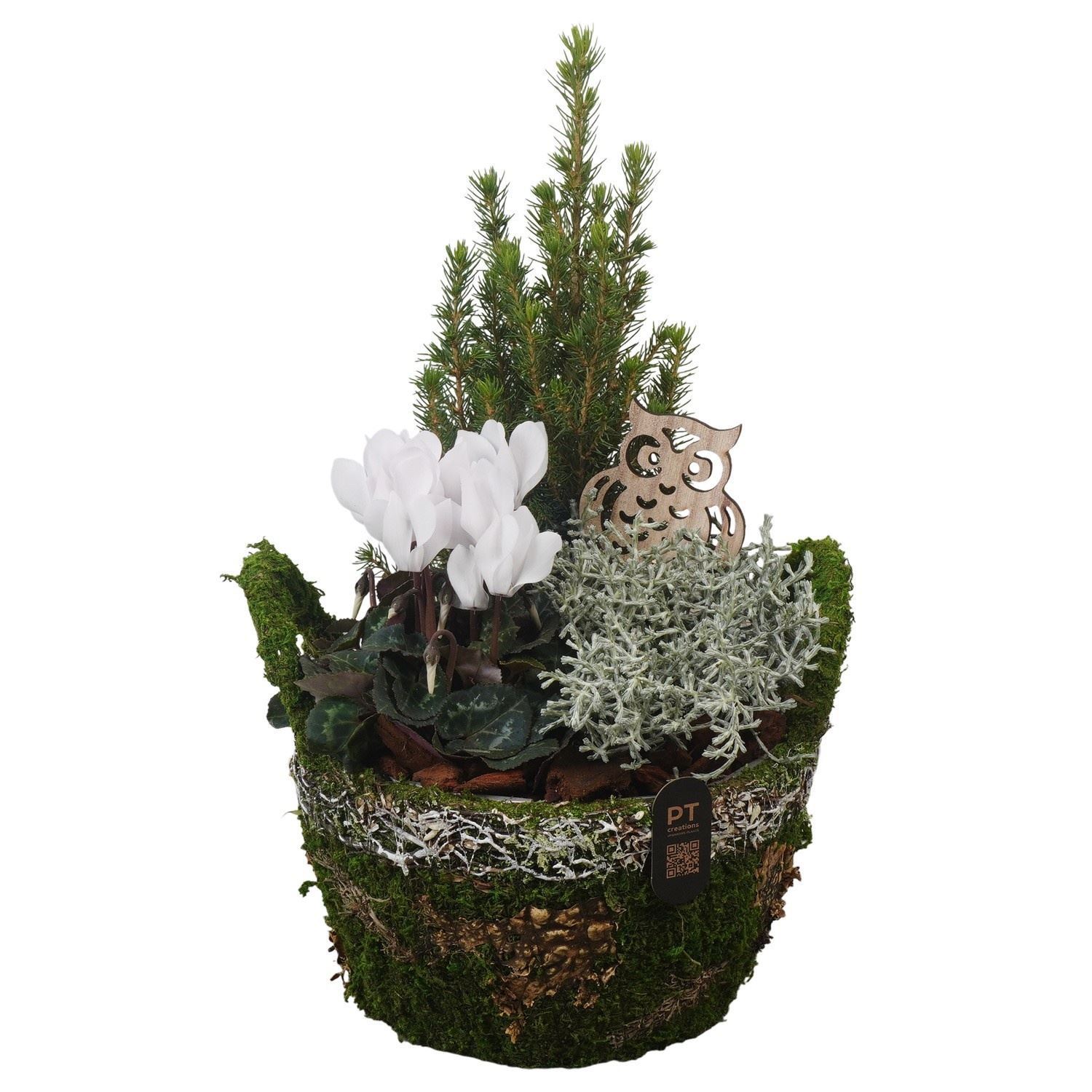 Arrangement Garden Plants 21Ø
