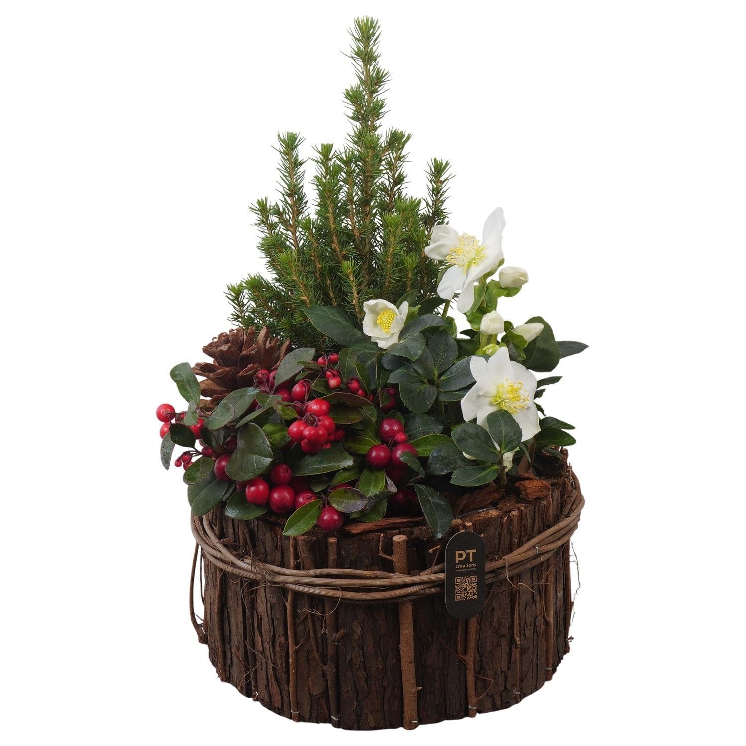 Arrangement Garden Plants 24Ø