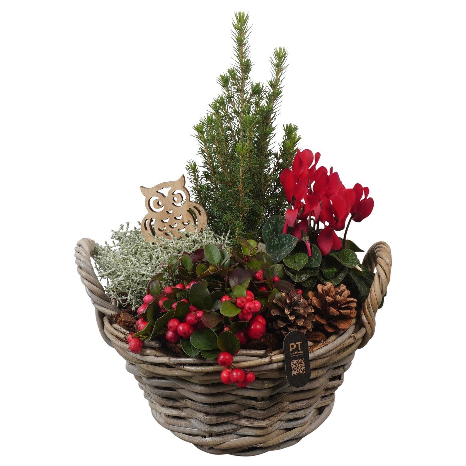 Arrangement Garden Plants 30Ø