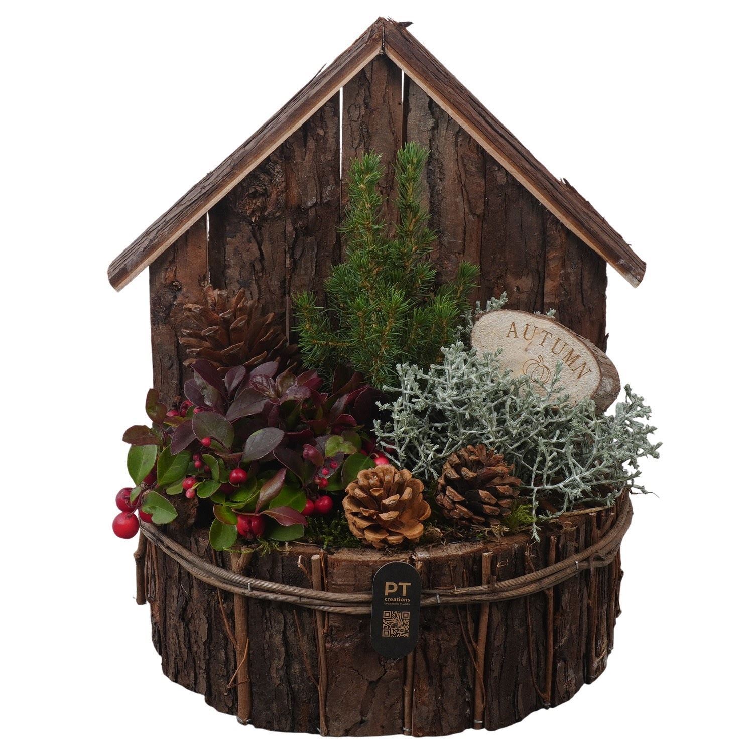 Arrangement Garden Plants 29Ø