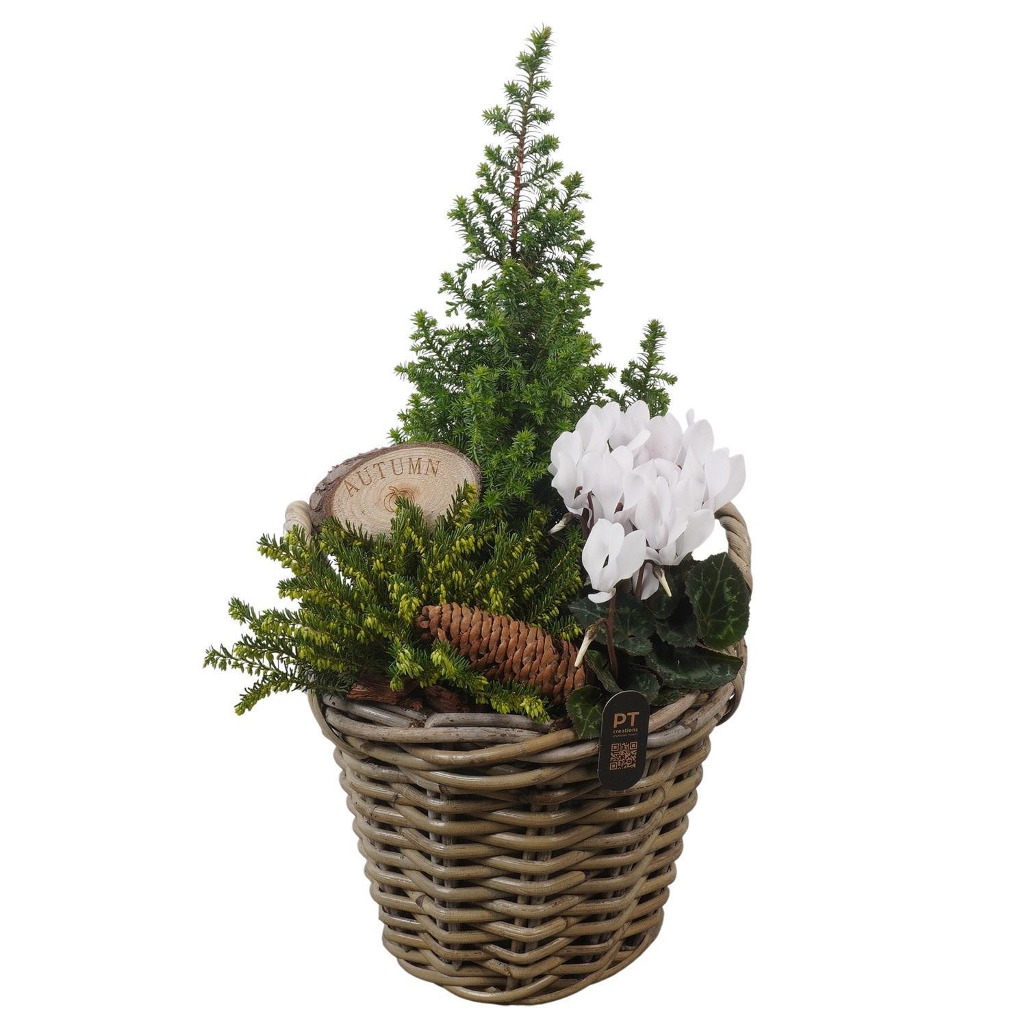 Arrangement Garden Plants 23Ø