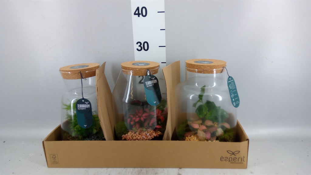 Arrangement Indoor 17Ø