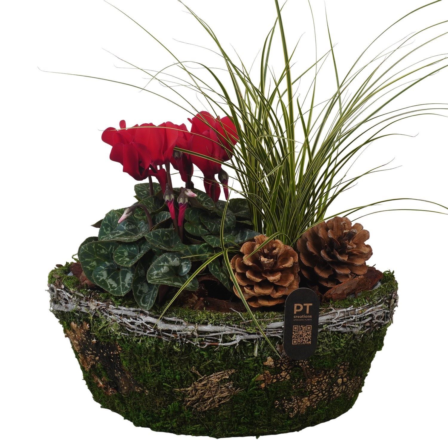 Arrangement Garden Plants 25Ø