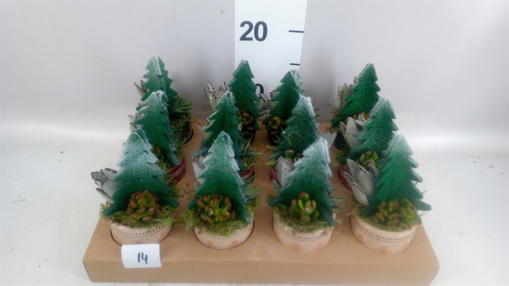Arrangement Christmas 7Ø