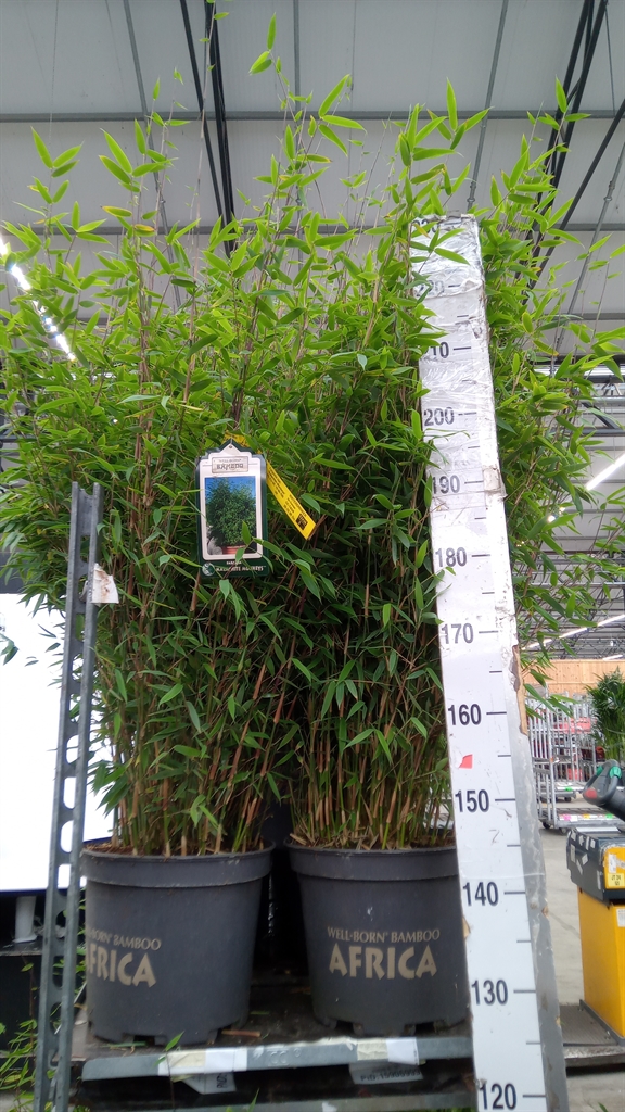 Farg Ov 28Ø 130cm