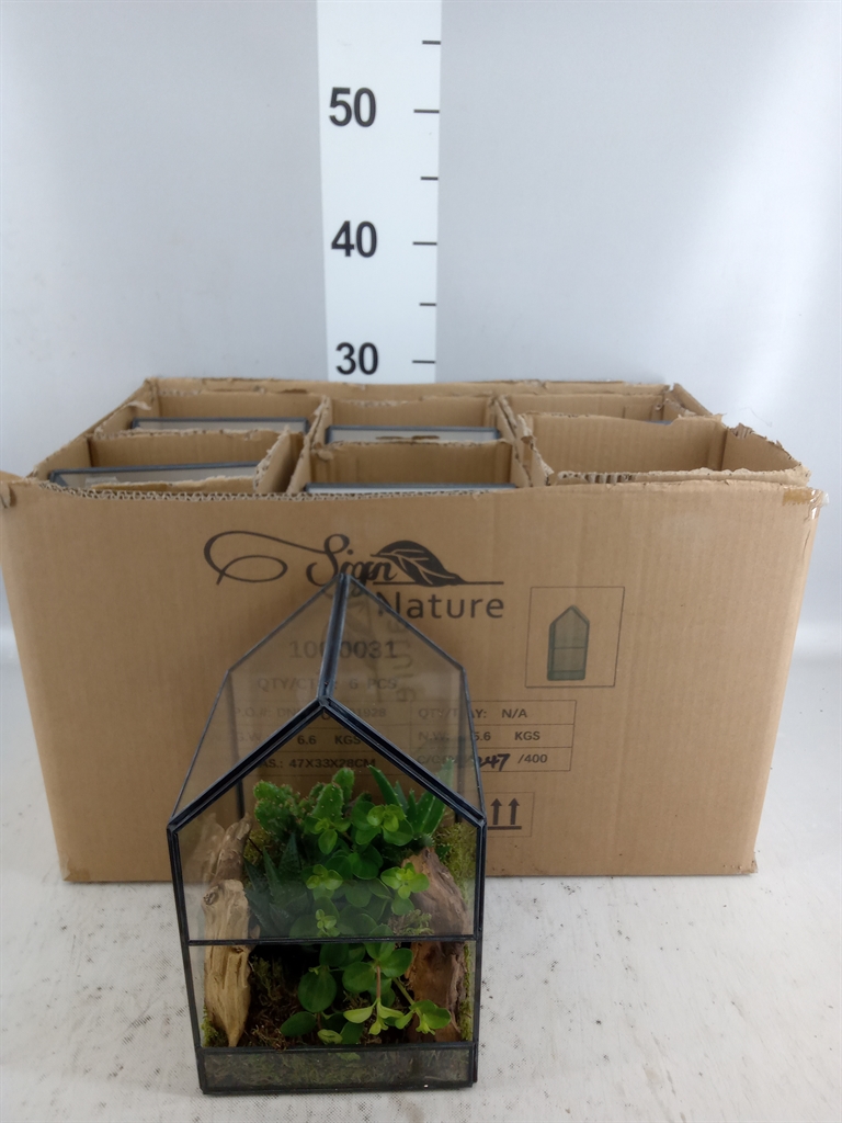Arrangement Indoor Green 14Ø