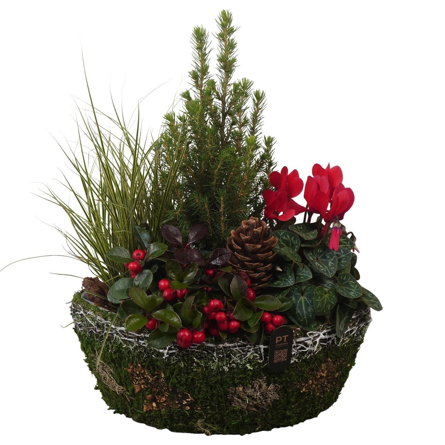 Arrangement Garden Plants 30Ø