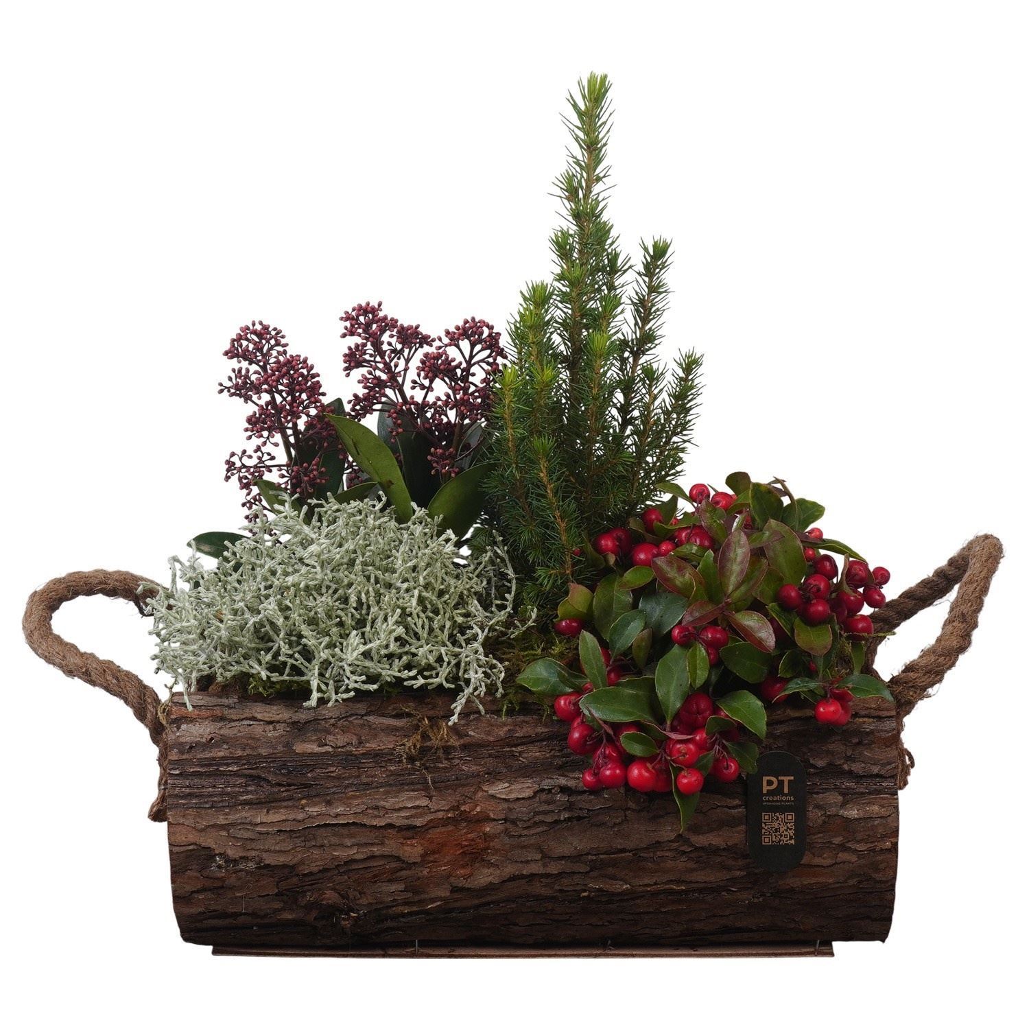 Arrangement Garden Plants 31Ø