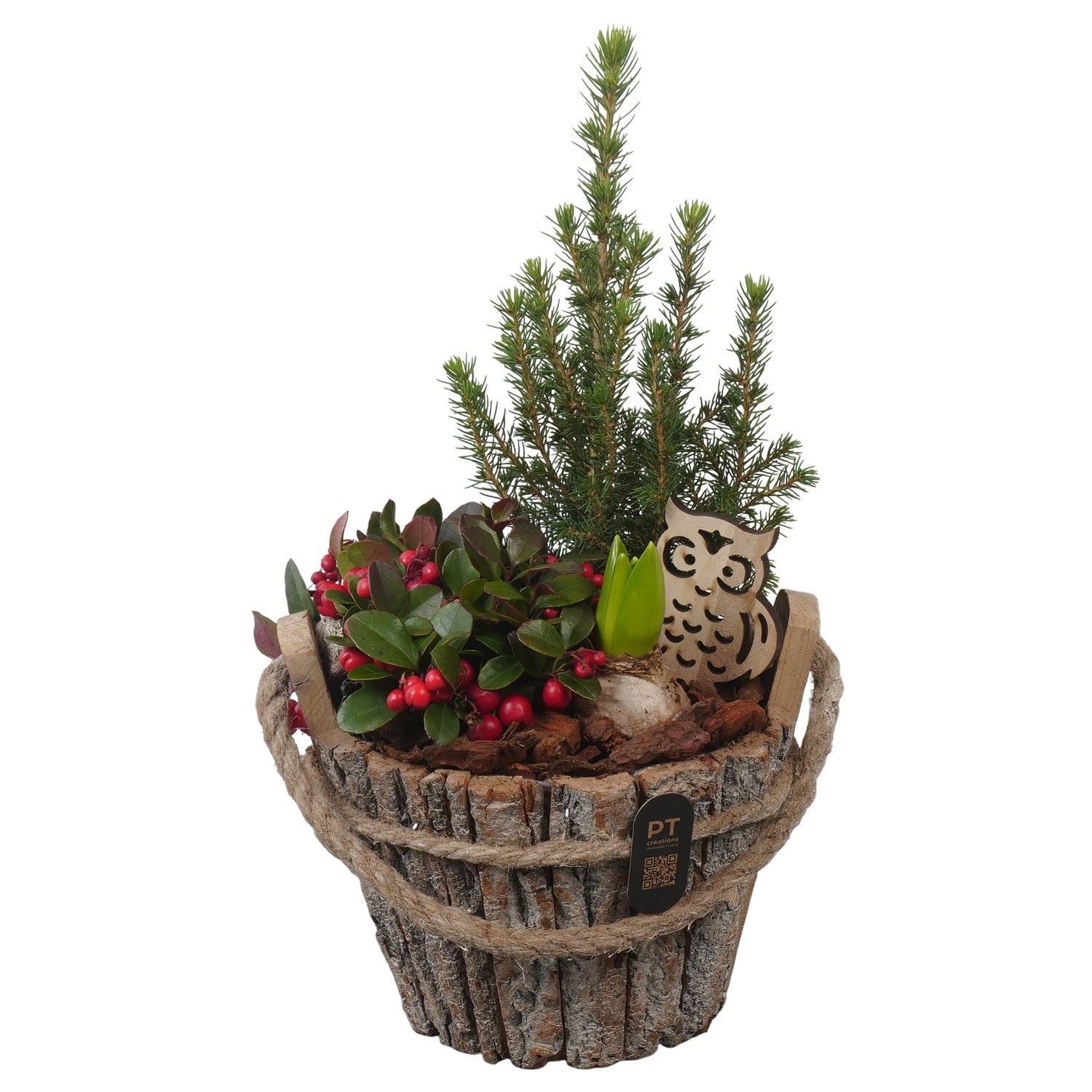 Arrangement Garden Plants 19Ø