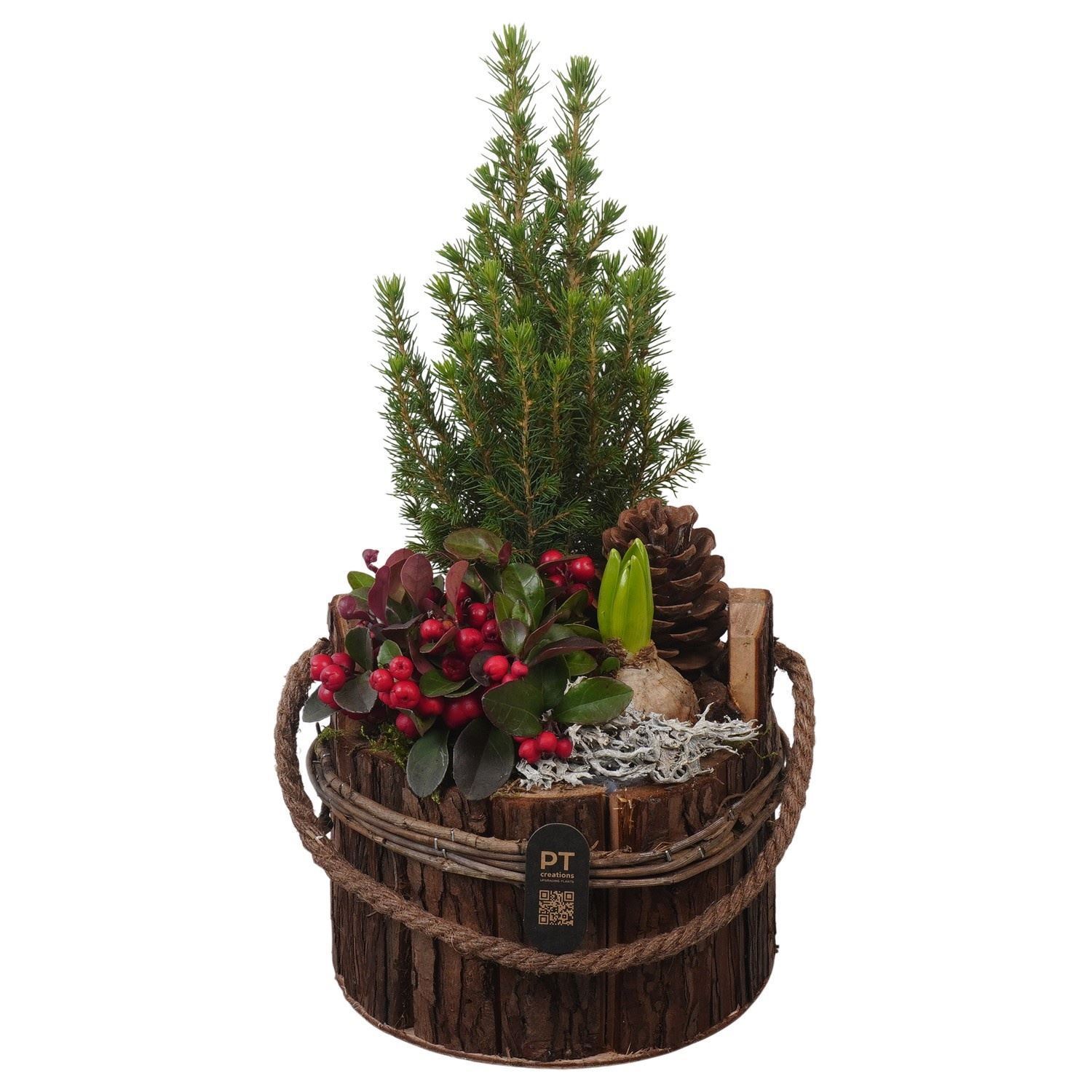 Arrangement Garden Plants 19Ø