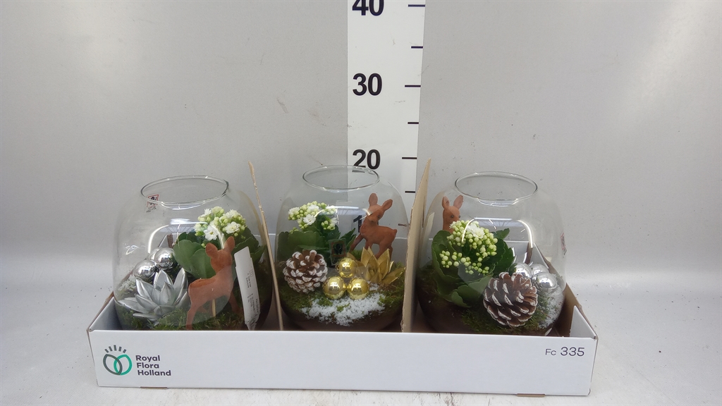 Arrangement Indoor 19Ø