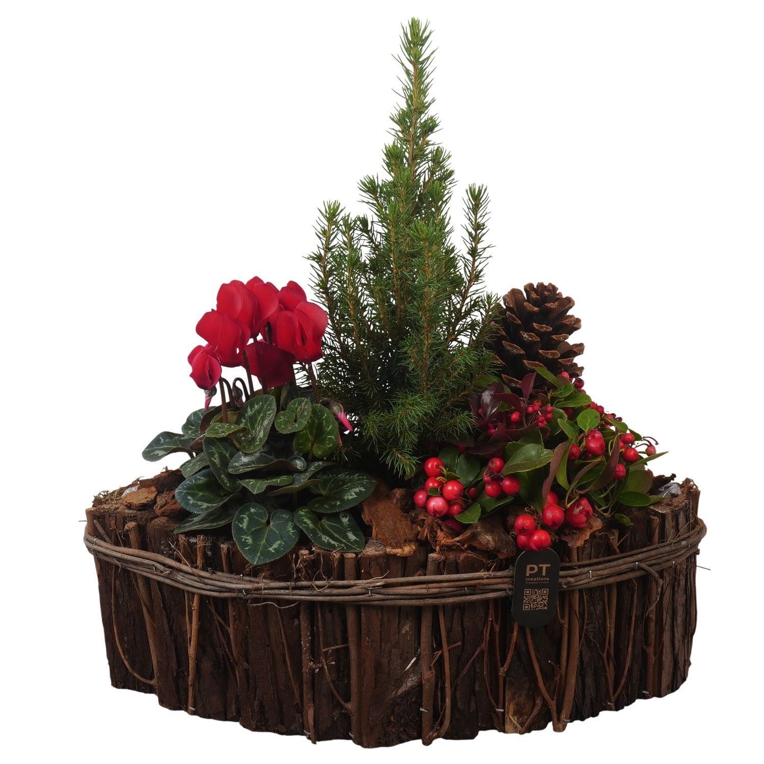 Arrangement Garden Plants 36Ø