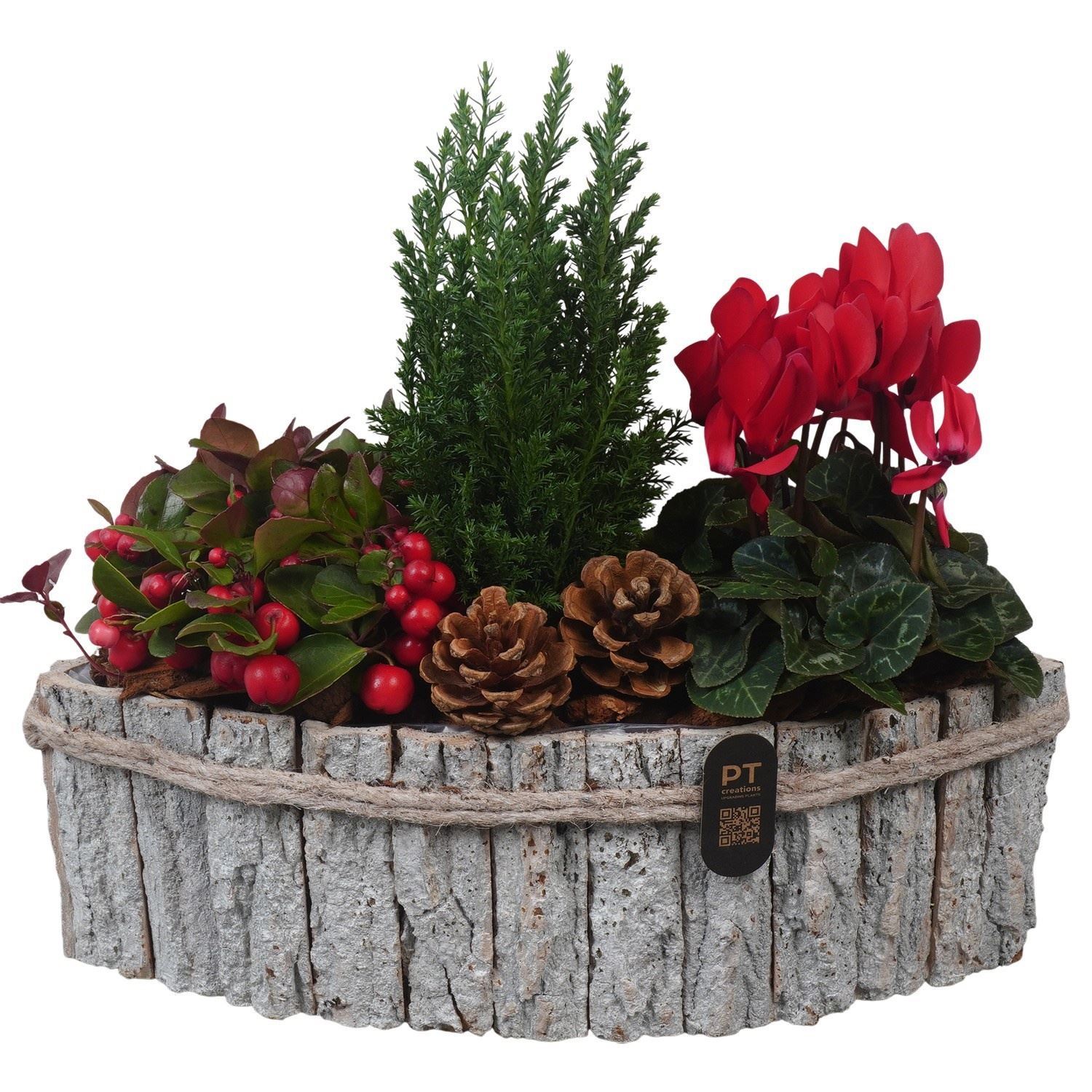 Arrangement Garden Plants 34Ø