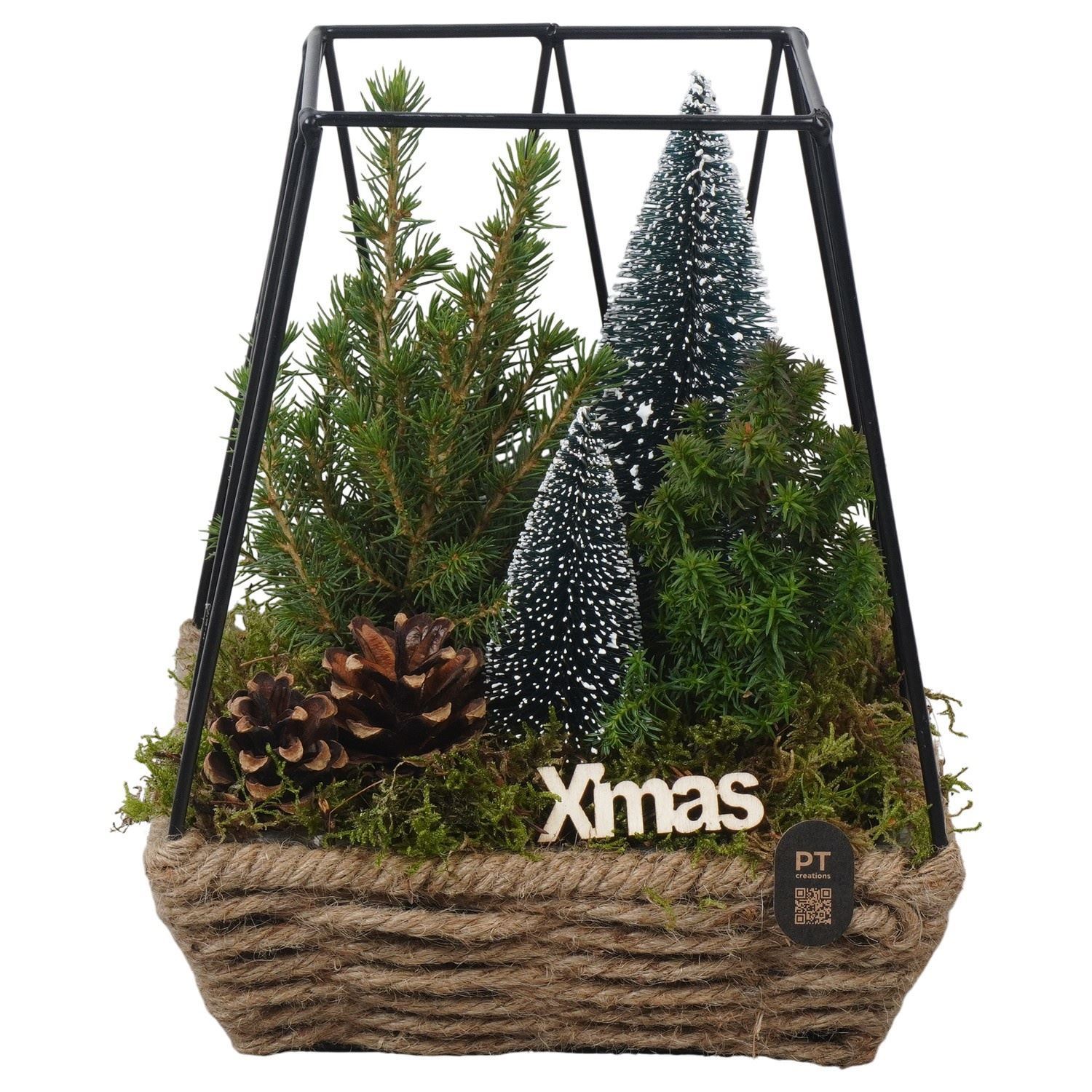 Arrangement Christmas 19Ø