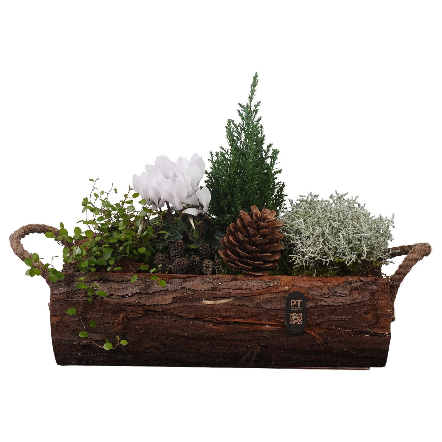Arrangement Garden Plants 43Ø