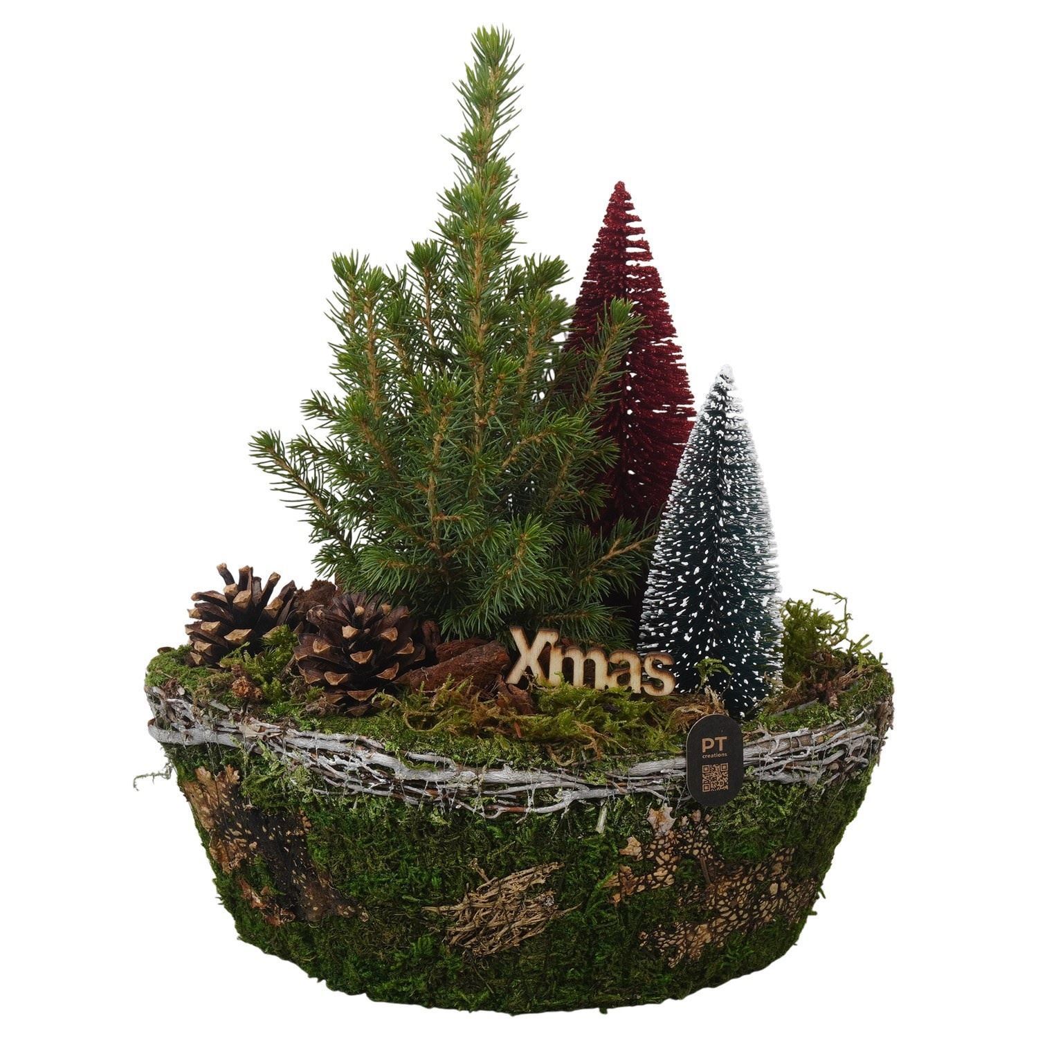 Arrangement Christmas 25Ø