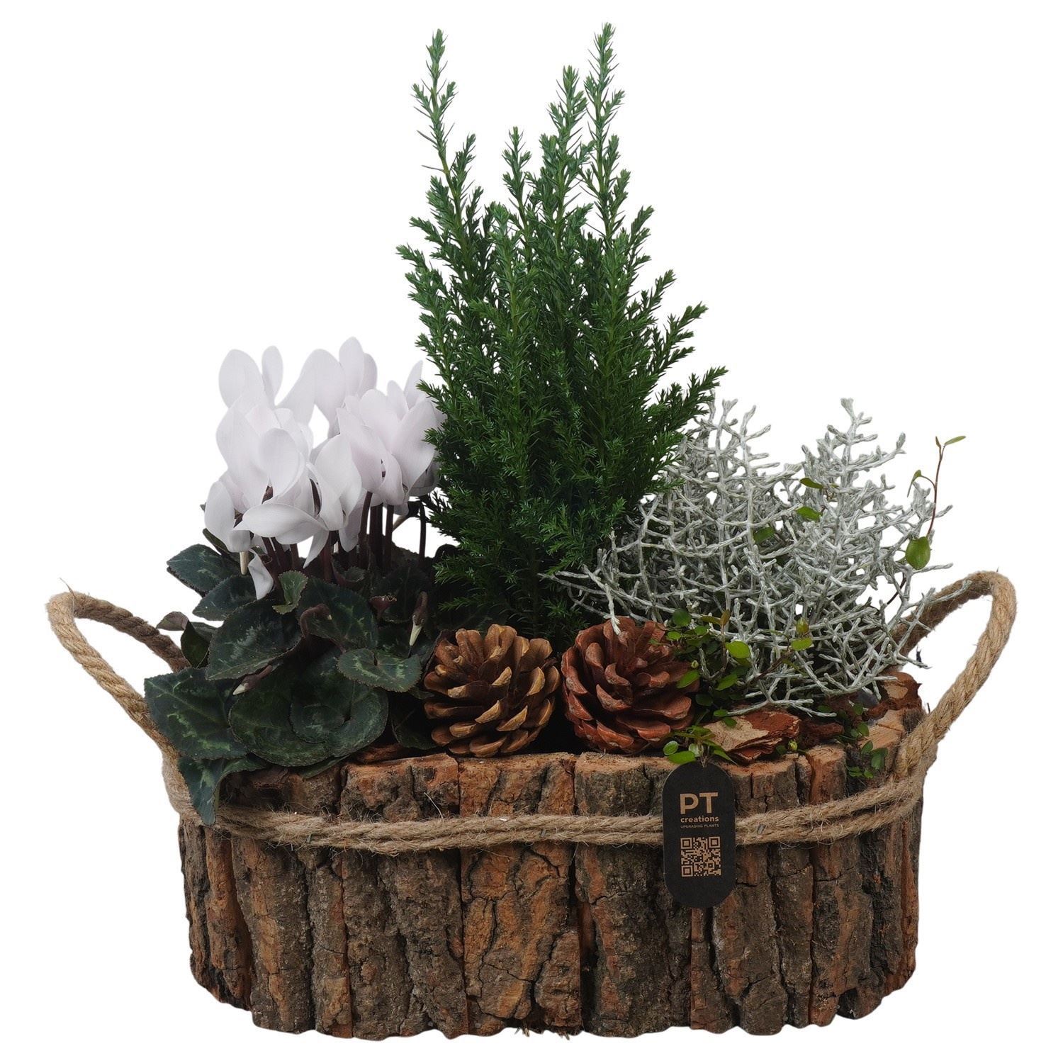 Arrangement Garden Plants 27Ø