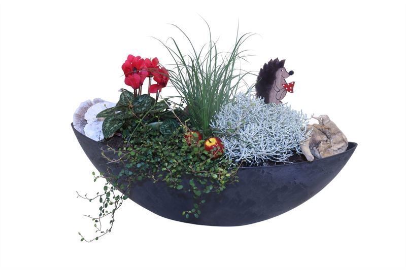 Arrangement Garden Plants 55Ø