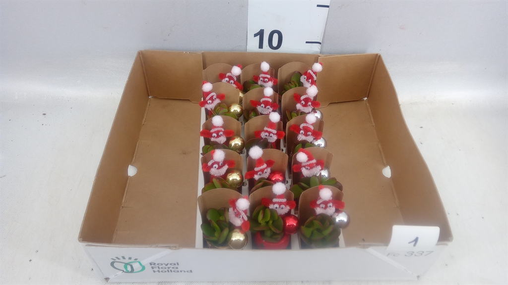 Arrangement Christmas 4Ø